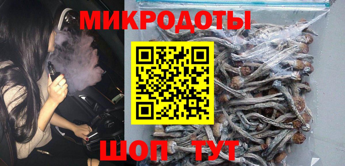 Псилоцибиновые грибы прущие грибы Тверь